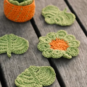 Haakpatroon onderzetters Monstera Plant Haakspot